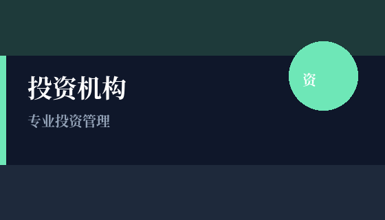 投资机构